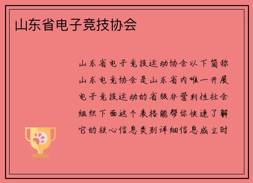 山东省电子竞技协会